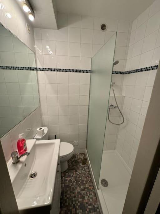 Appartement Joli Au Coeur De 41 *